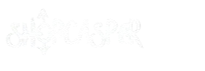 ShopCasper